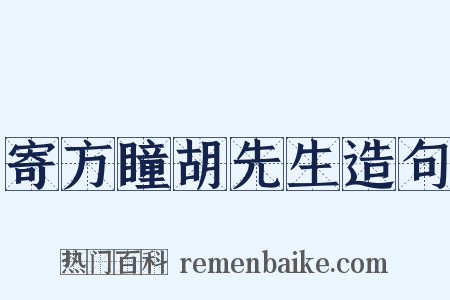 寄方瞳胡先生造句是什么意思的图片